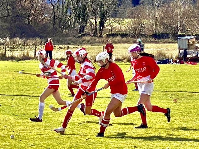 Saw our first shinty match