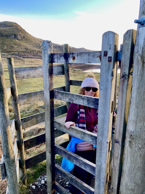 Through the sheep-proof gate to the next pasture