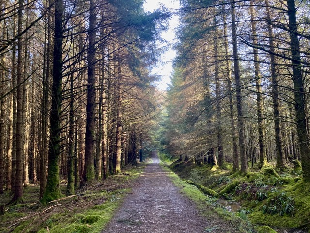 The road to Carn à Bhealaich Mhòir