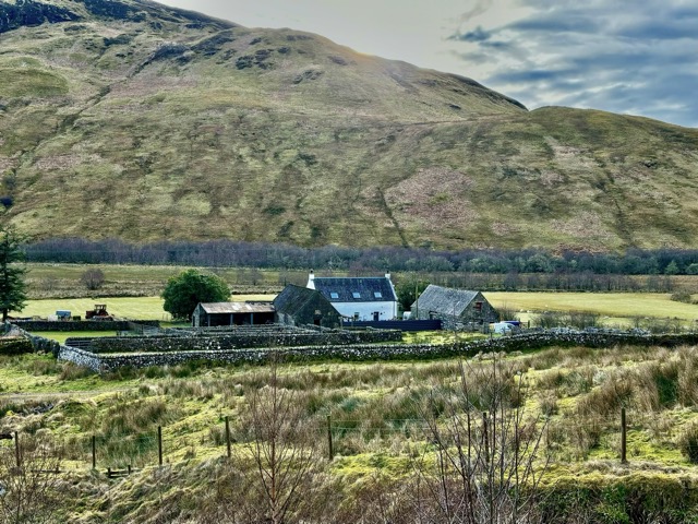 Stone-fenced sheep farm in the glen