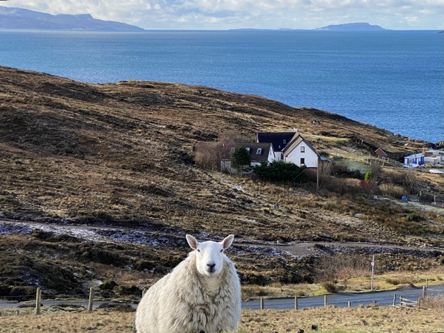 Clear on the coast where the mayor of Elgol greeted us personally