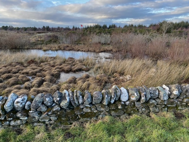 Drummossie Moor where many died