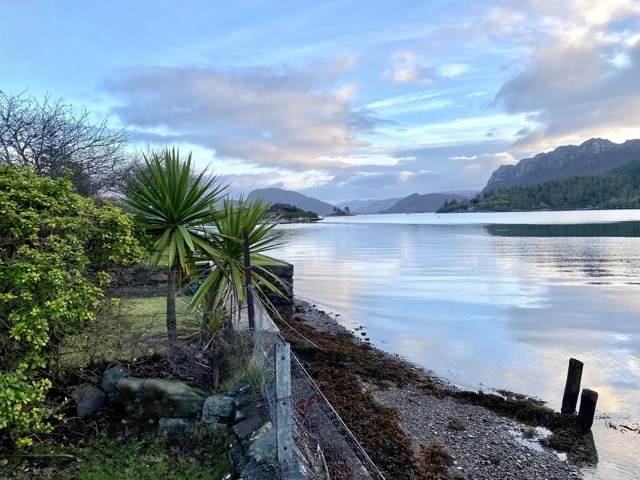 View from the front yard