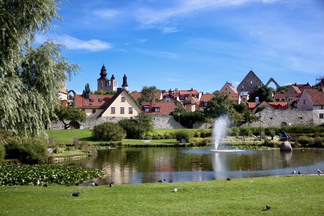 Our son's backyard in Visby, Sweden, Island of Gotland