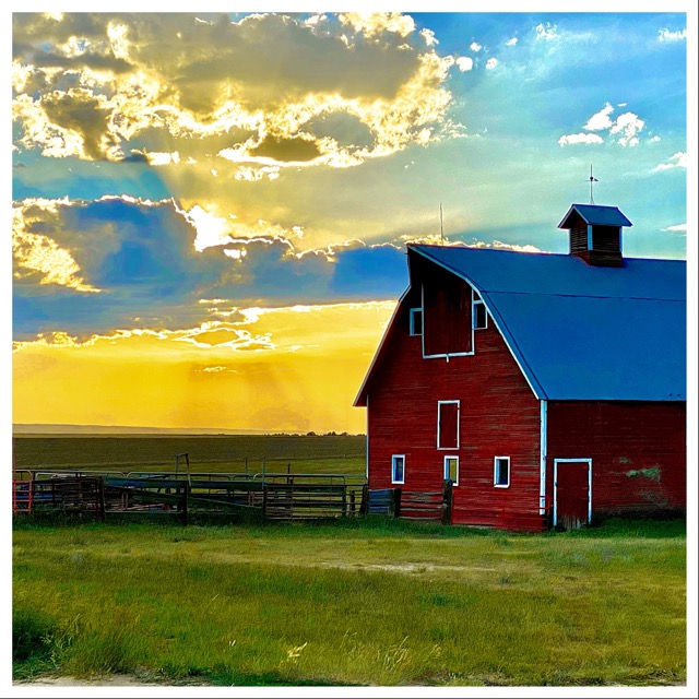 East of our house on a summer afternoon