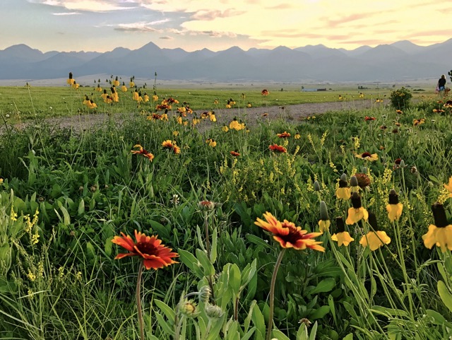 Colorado's Wet Mountains