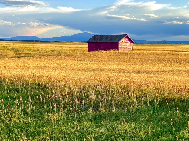 Afternoon sun on the Colorado plains